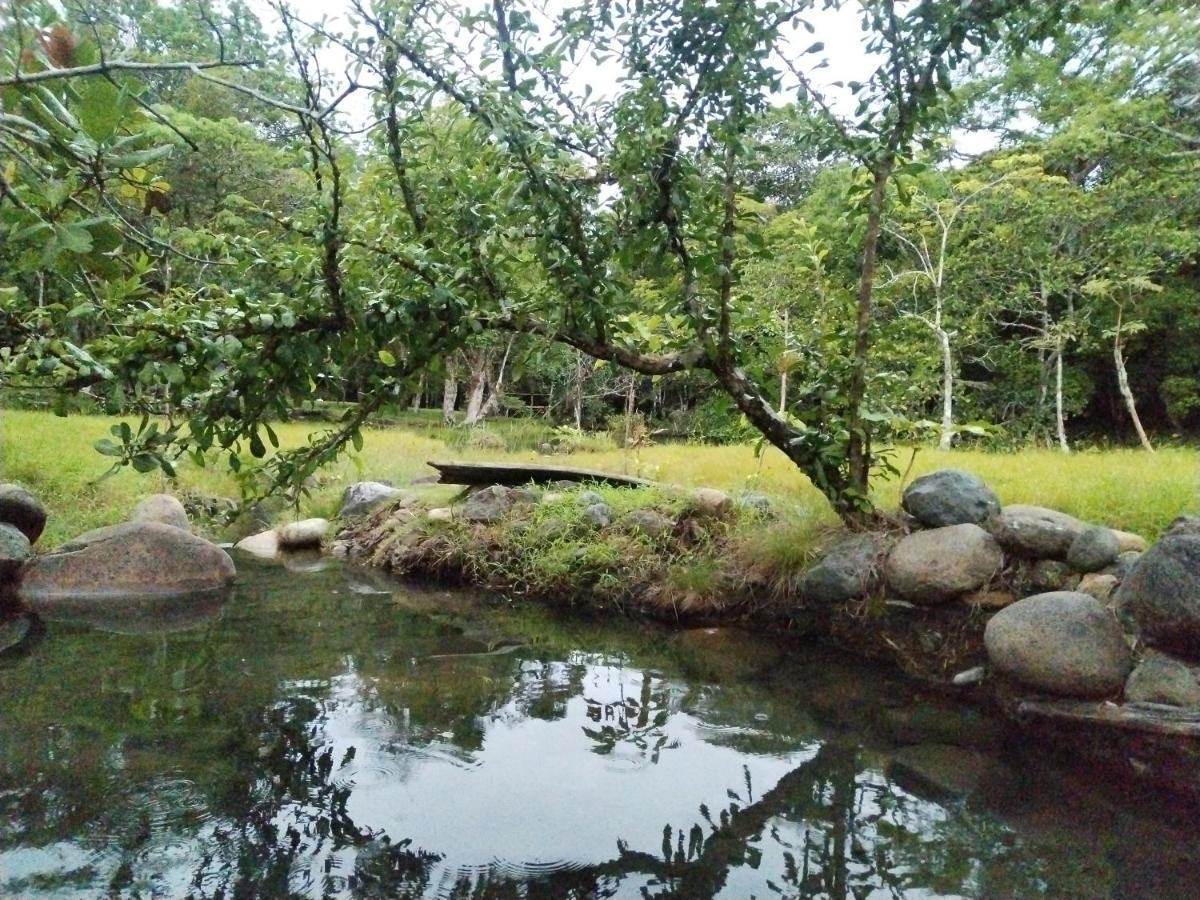فيلا Campestre House Alto Boquete المظهر الخارجي الصورة